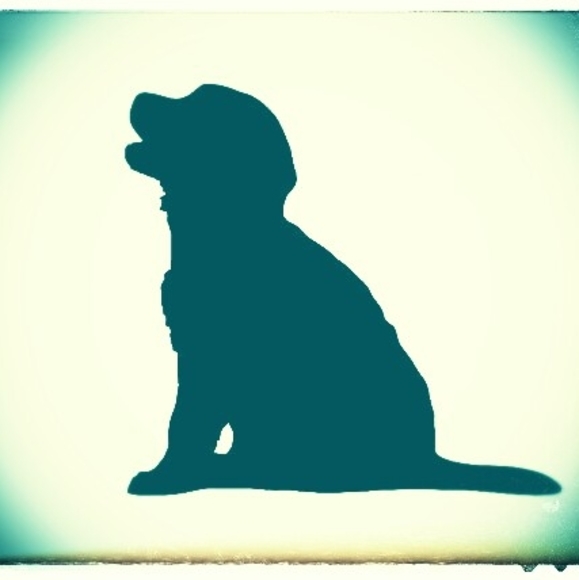 retrieveapuppy